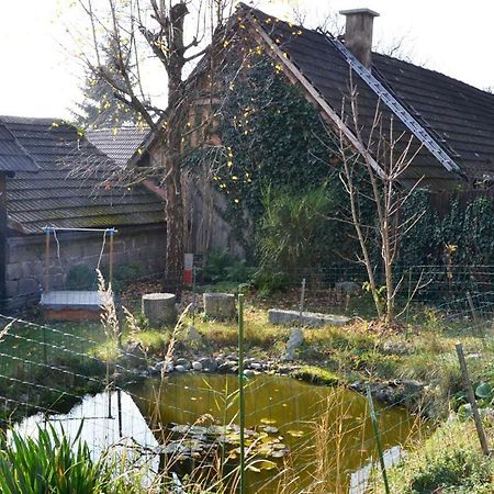 Ferienwohnung Blockheide グミュント エクステリア 写真